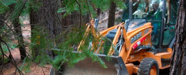 Descobriu la imatge que representa el compromís d'Excavacions Girona amb la natura, mantenint pistes forestals amb mestratge.